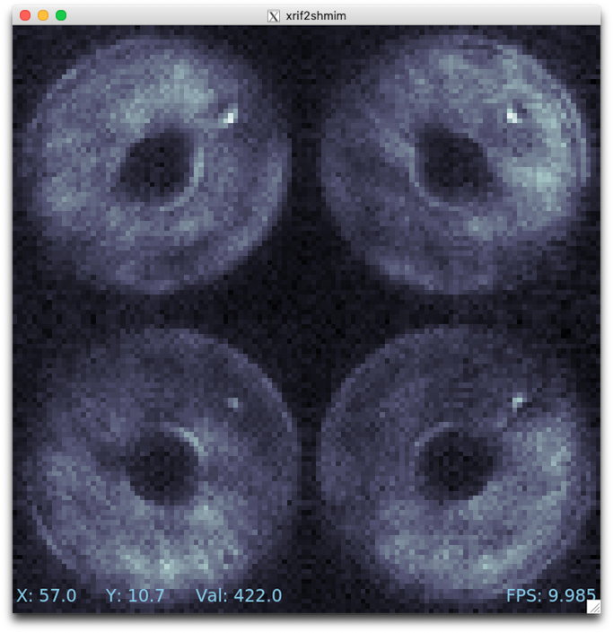 Example of rtimv viewer with 4 wavefront sensor pupils